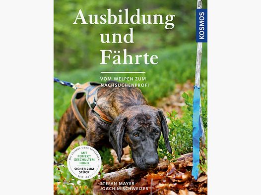 Opleiding en monitoring – Boek – Stefan Mayer & J. Schweizer
