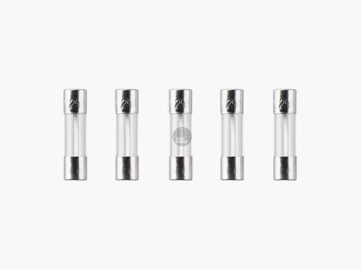 Nimrod Glass Type Fuse 5x20mm 30A 5pcs