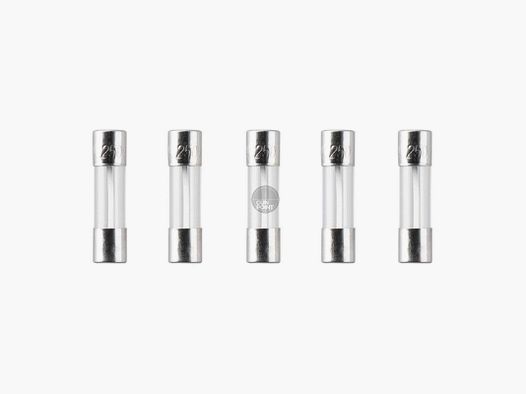 Nimrod Glass Type Fuse 5x20mm 30A 5pcs