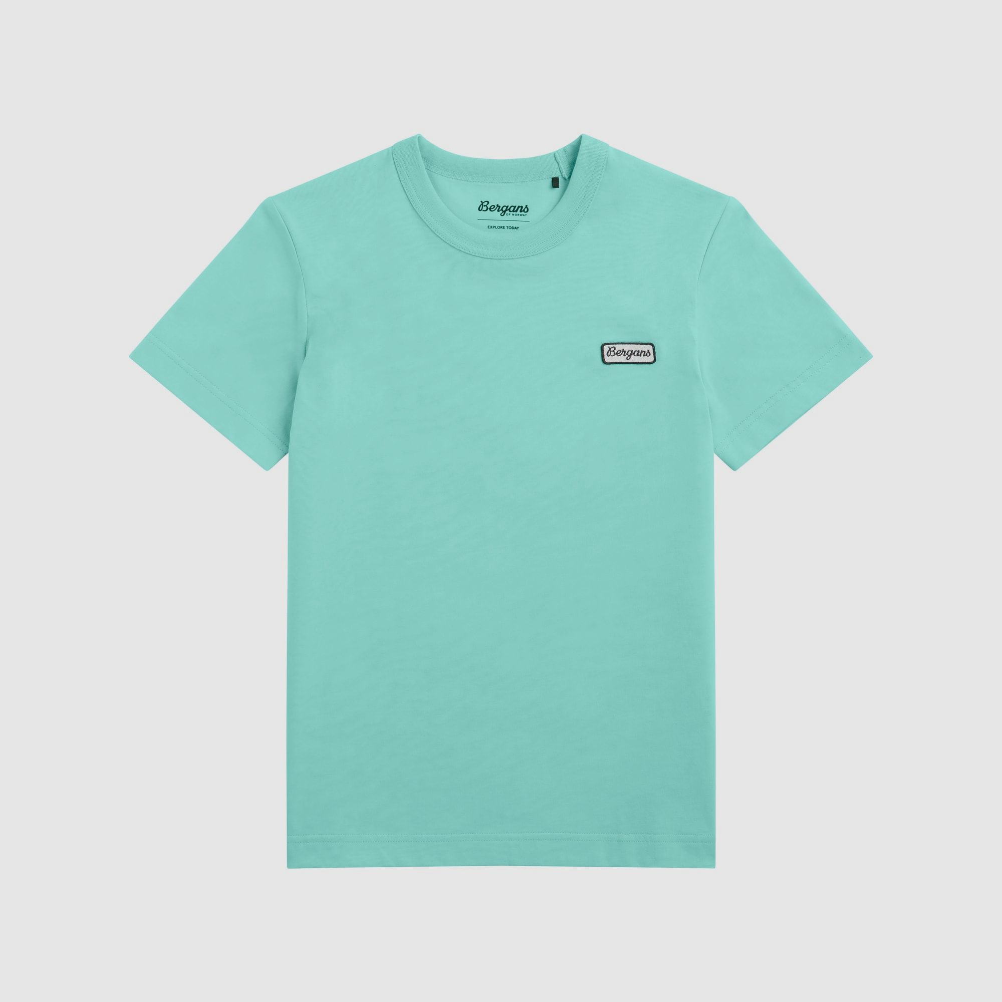 Bergans Logo Cotton Tee Women Cool Mint M