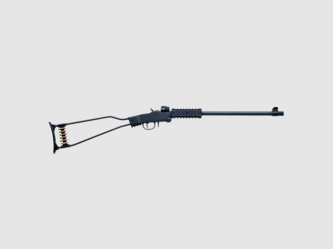 Chiappa Little Badger Kal. .22 Mag, Bild 1 von 3