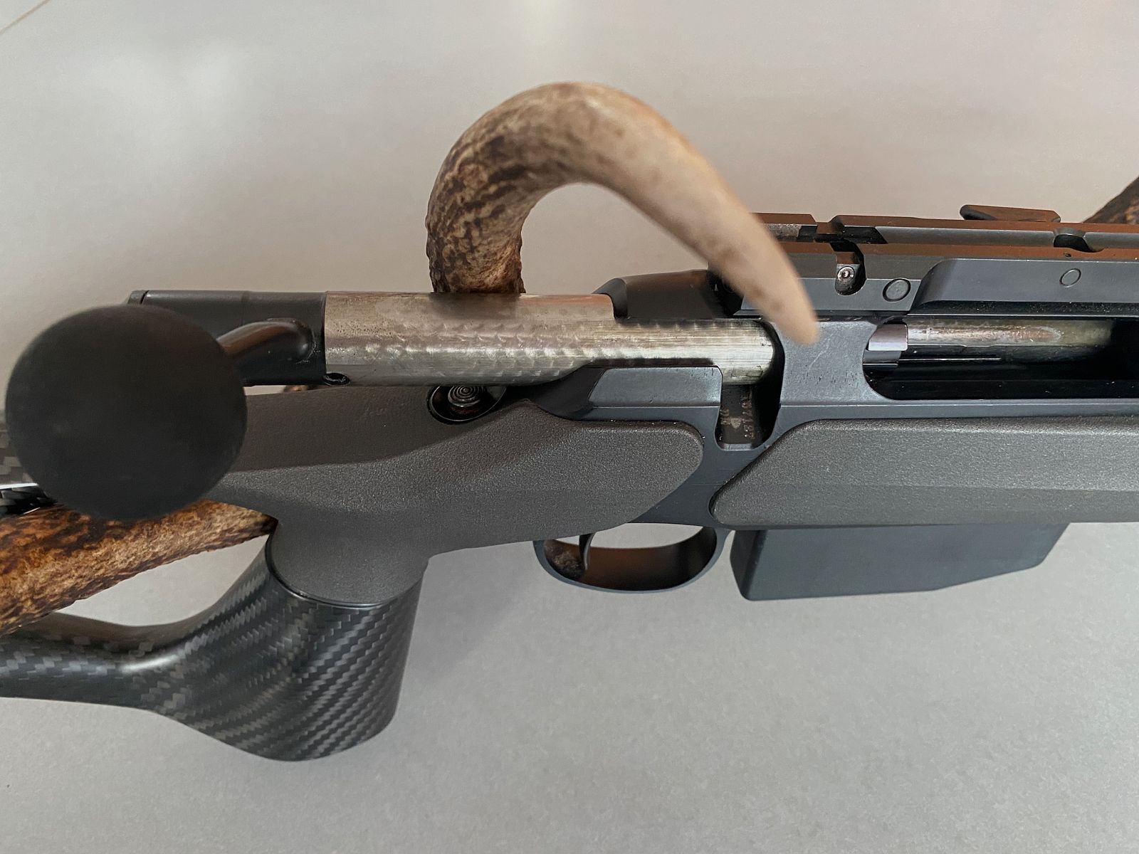 Sauer 202 carbon stock caliber 308