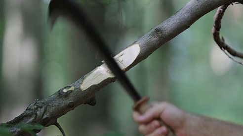 Schweizer Gertel - Ideal für die Revierarbeit