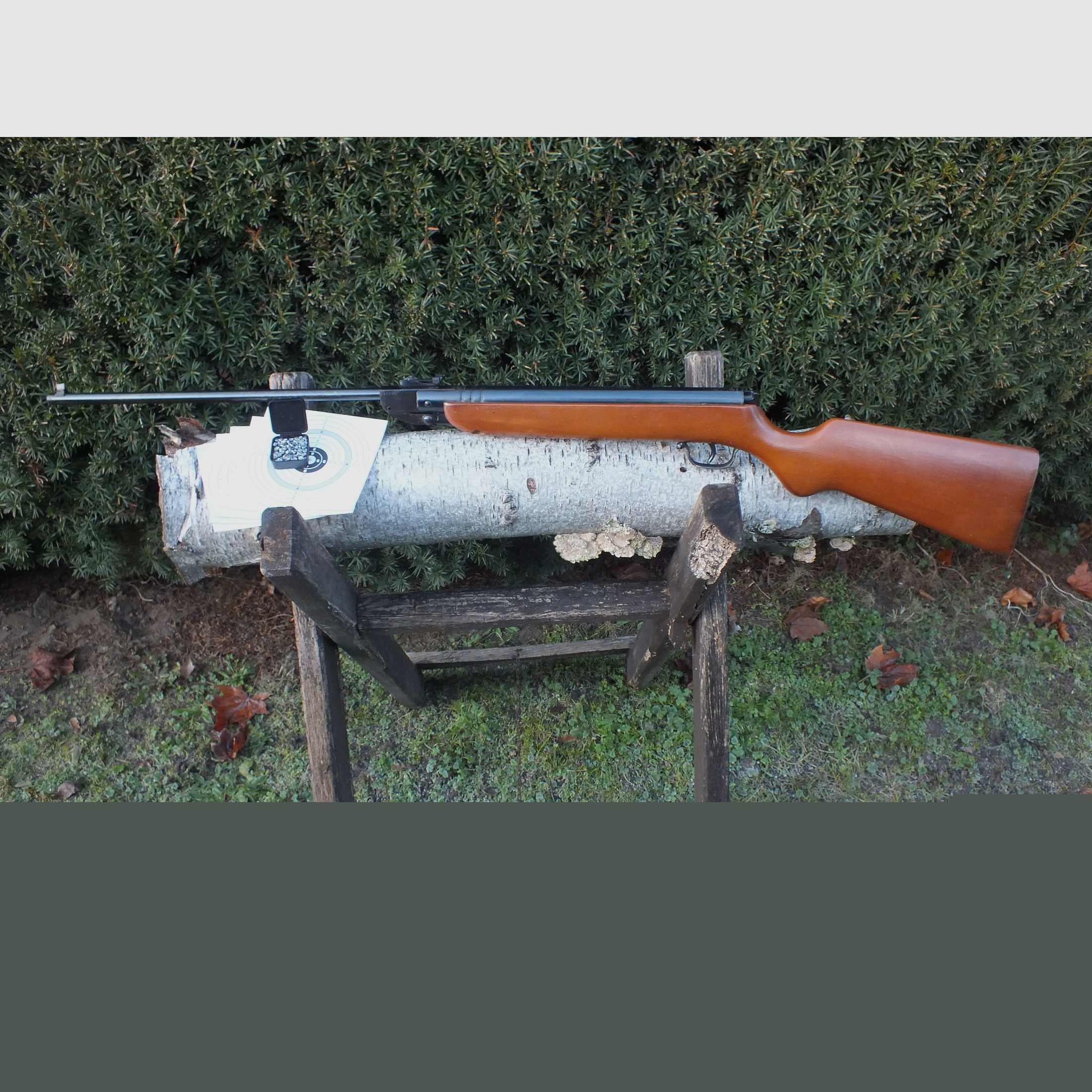 Fucile ad aria compressa Suhler Haenel 303