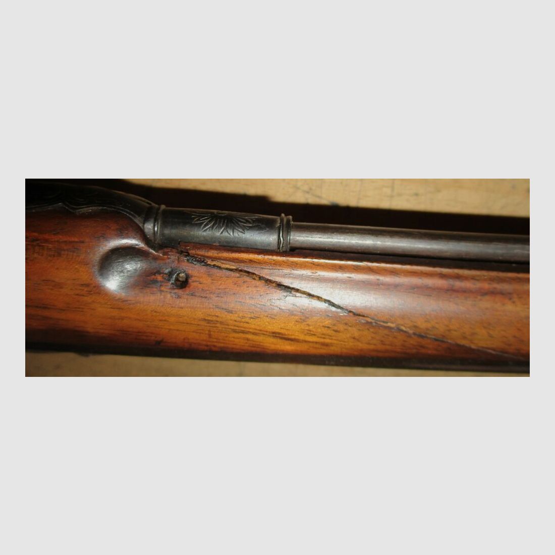 Peter Volkmann Vienna