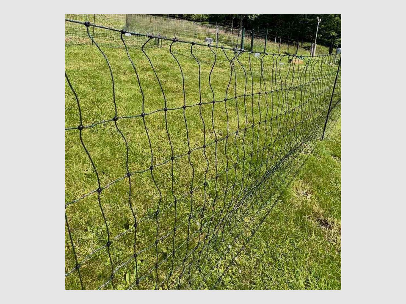 Kipfilet versterkte palen, 1,10 x 50 m, afbeelding 2 van 10