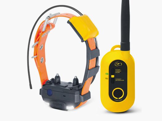 Collar de entrenamiento mini DOGTRA Pathfinder 2