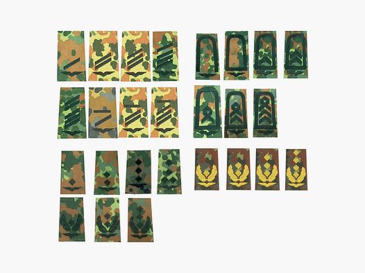 NfD NfD BW ranginsigne Luchtmacht Flecktarn