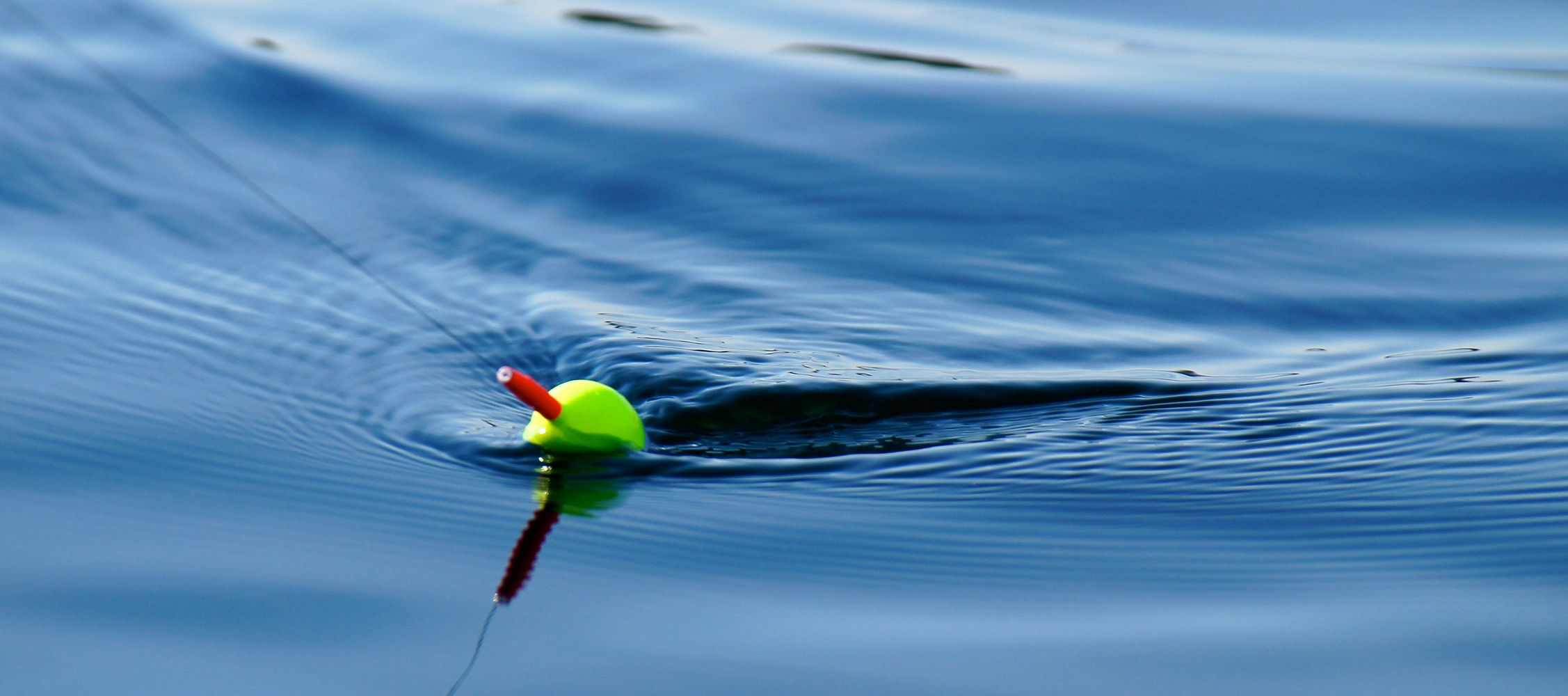 Boilies: The Art of Successful Baiting in Fishing