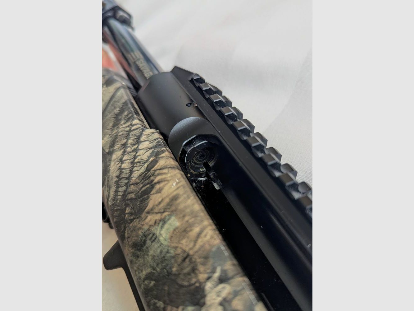 Prédateur d'Impulsion Sauvage