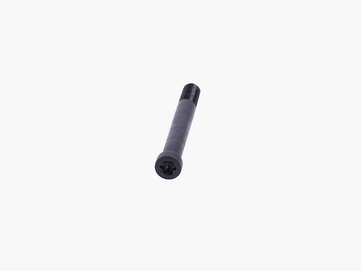 SIG SAUER P210 grip panel screw TX15 M4x34