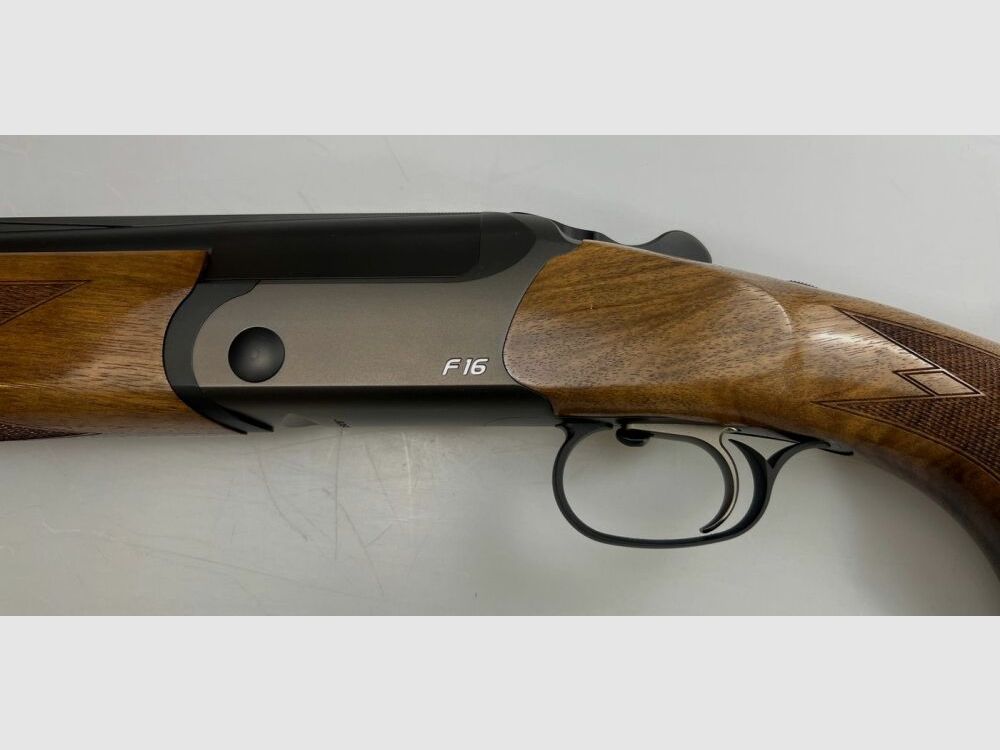 BLASER F16 Gioco
