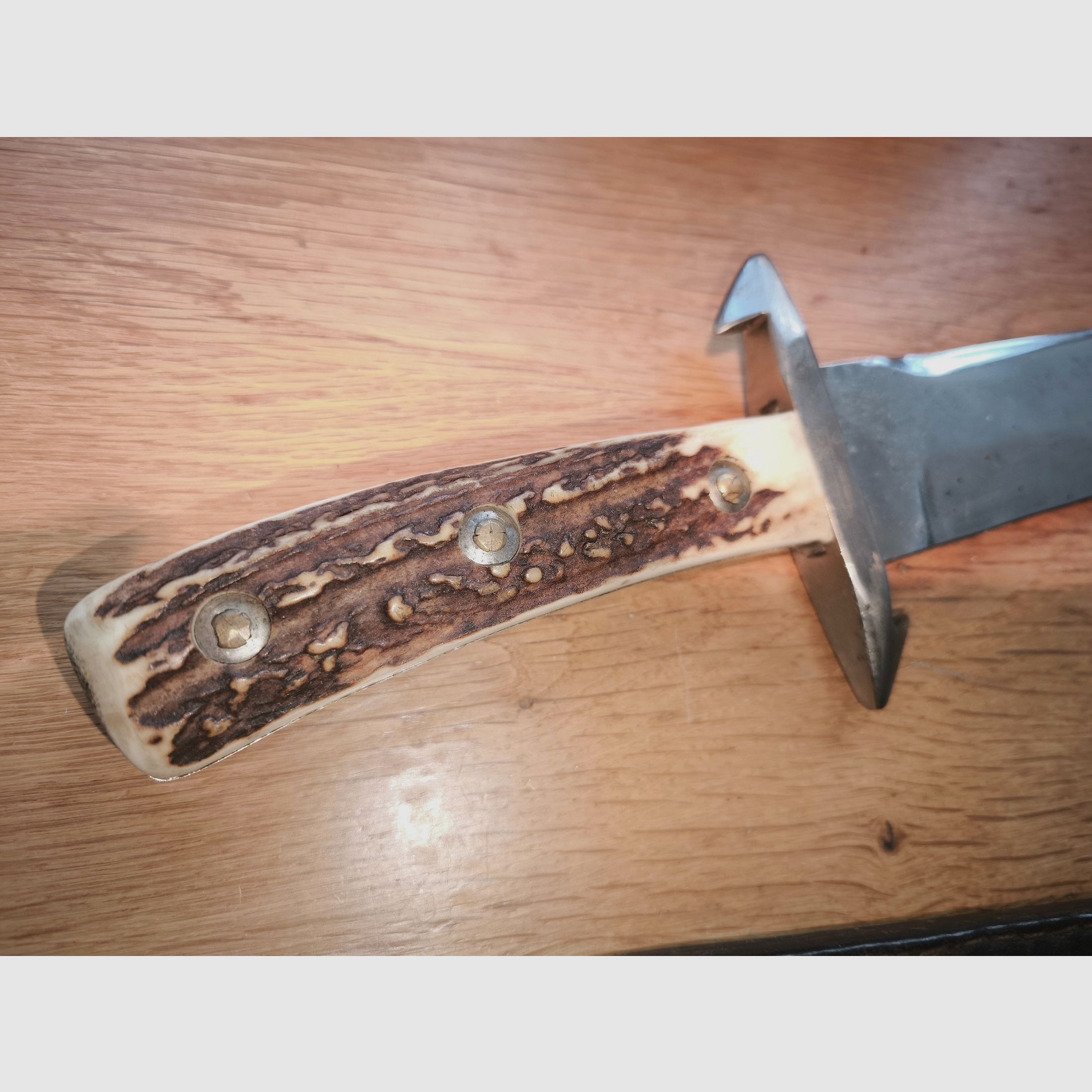 Couteau de chasse Lippertsches Waidblatt