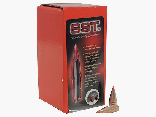 Hornady Kogel 7,62x39/.310 SST 123GR 100 stuks