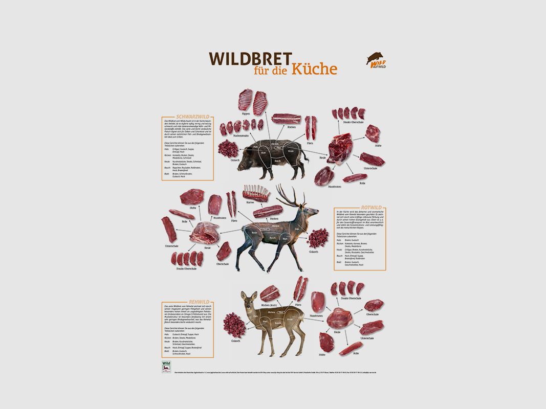 Wildbret-Poster Hoch- und Rehwild PVC