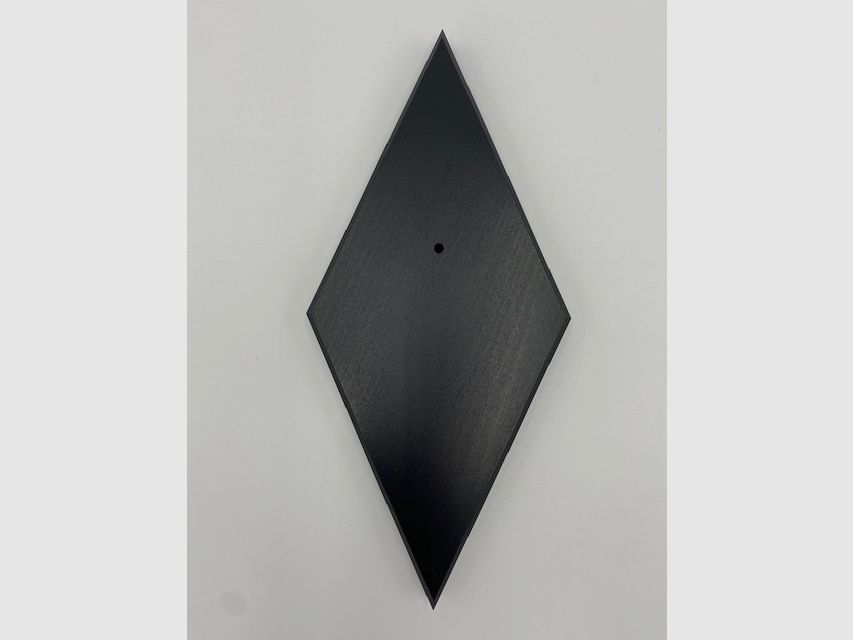 Tablero de cuernos - Tablero de trofeos ciervo Waldemar - Color negro, gris o blanco, imagen 1 de 8