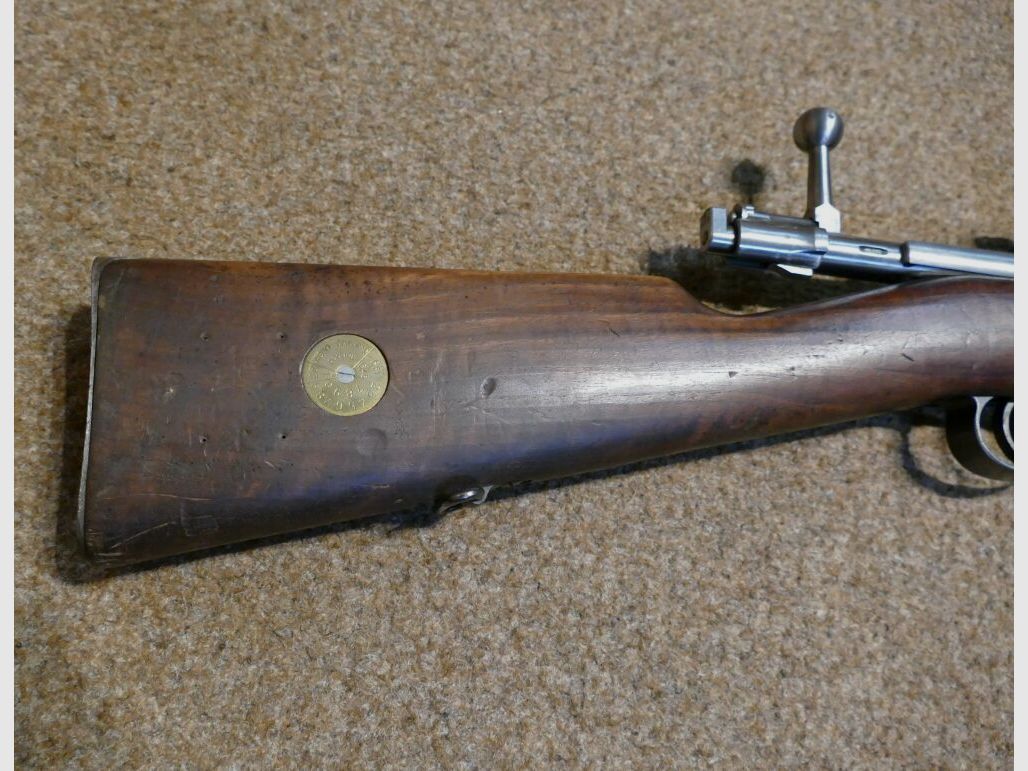 Carl Gustafs M 96