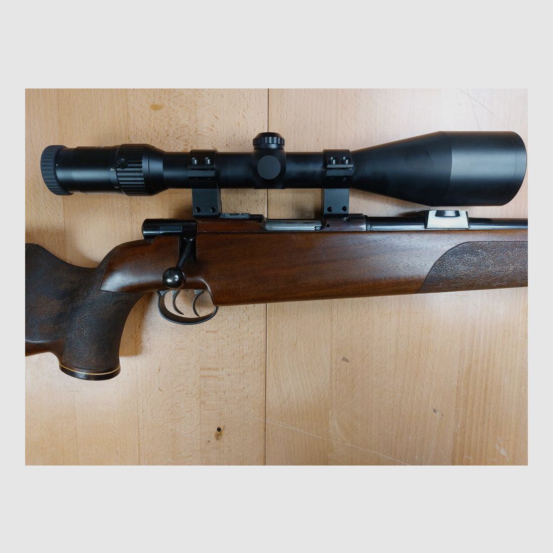 Anschütz, Ulm DJV Match de Chasse