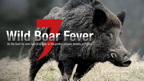 WILD BOAR FEVER 7 | EXCLUSIVELY ON MOTV.COM