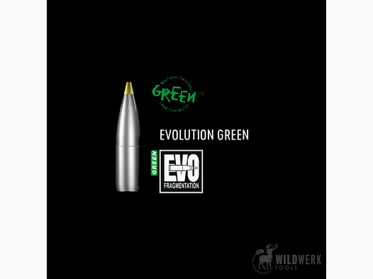 RWS Evolution green SR (short rifle)