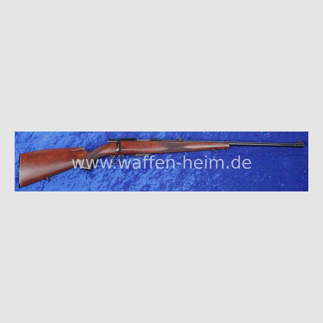 Anschütz