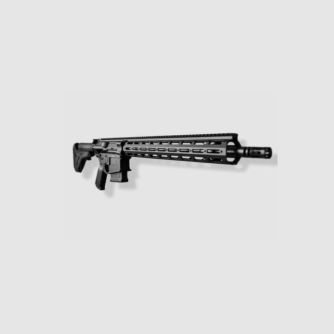 DAR-10 M5 .308Win