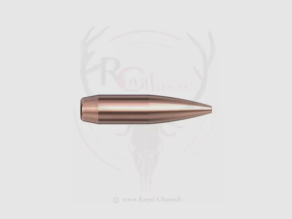 600 pocisków kal. .22 D.224 75 gr BTHP MATCH HORNADY