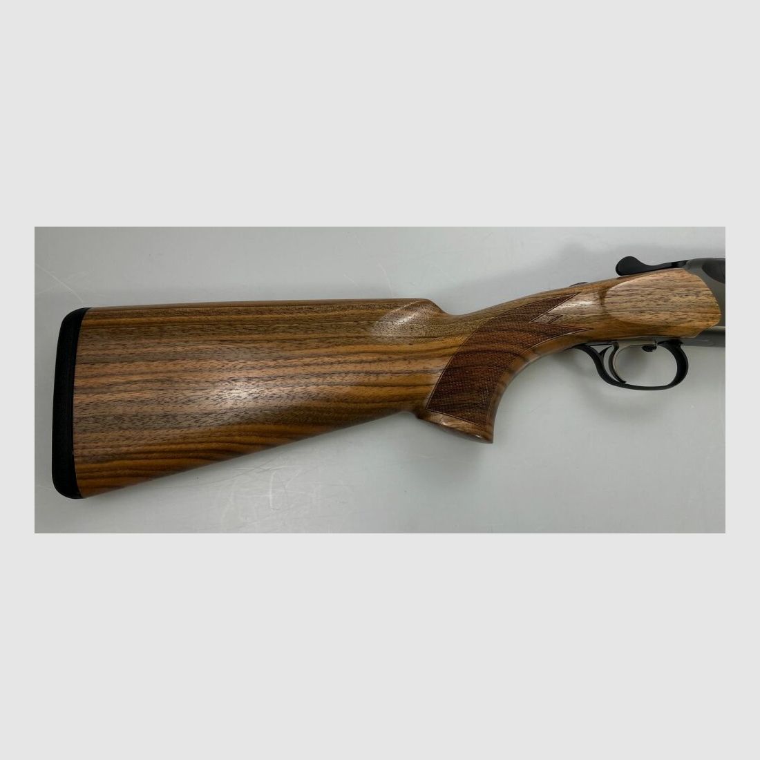 Blaser F16 Game