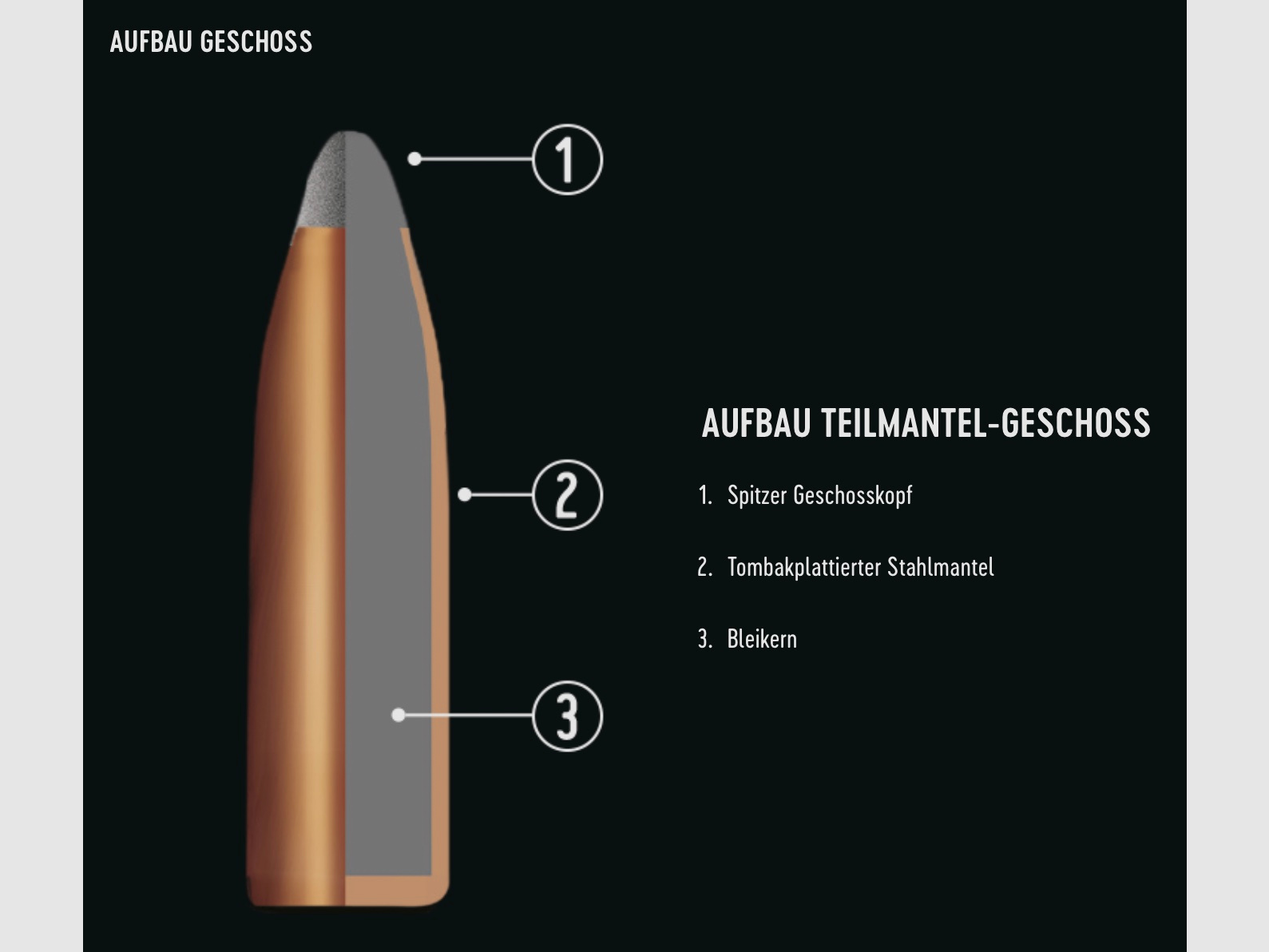 RWS 9,3x74 R Teilmantel-R 18,5g 285grs.