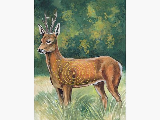 Hunting target roe deer 10 pcs.