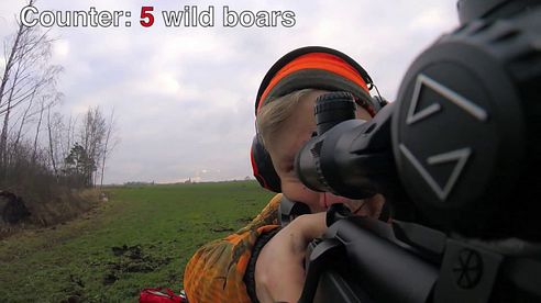 Driven Wild boar and Deer Hunting in Zmigrod - Poland - GoPro Action