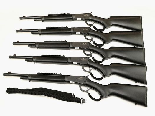Chiappa 1892 Wildlands MHR TD