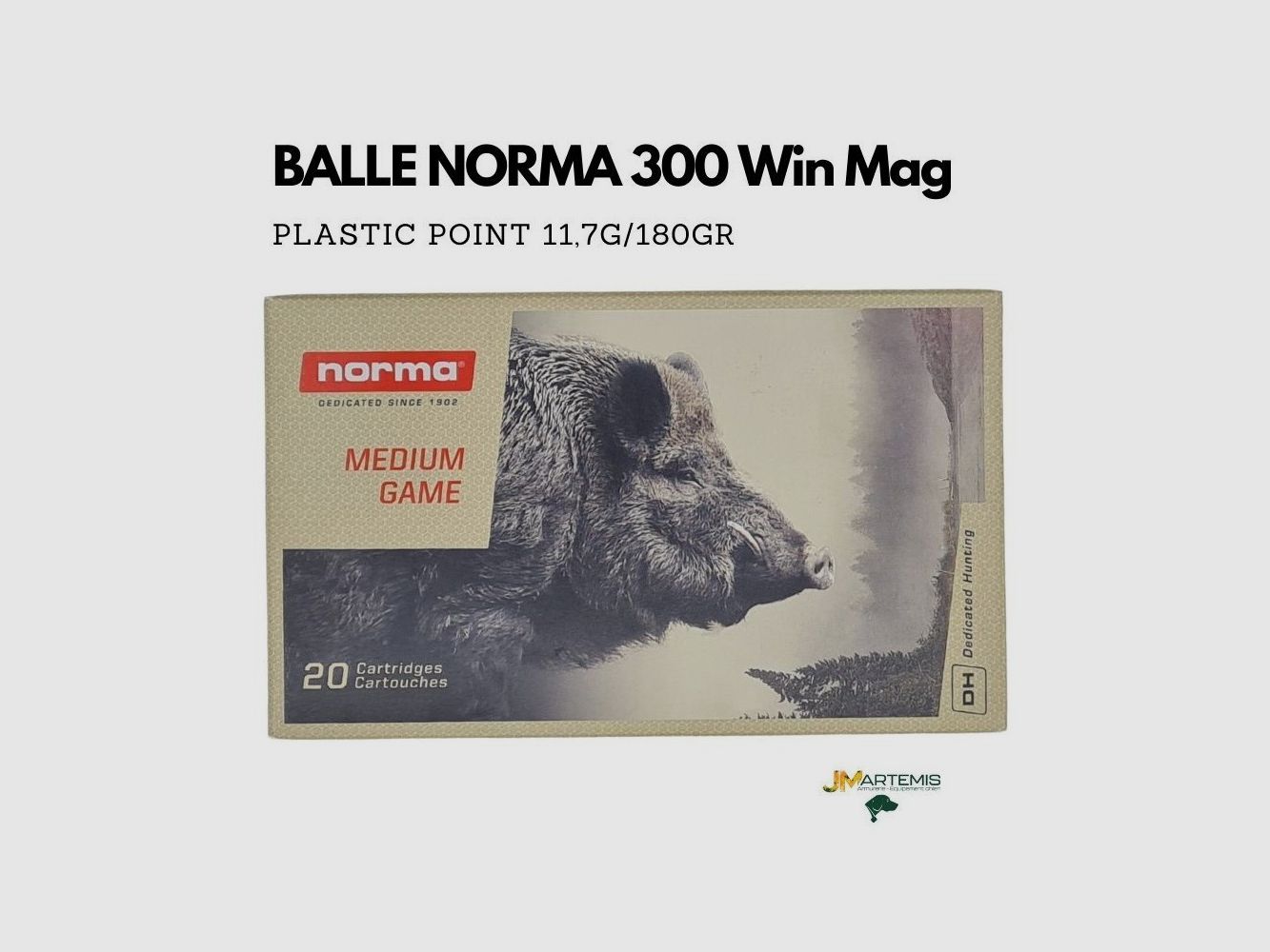 PATRONEN NORMA 300 Win Mag PLASTIC POINT 180GR, afbeelding 1 van 3