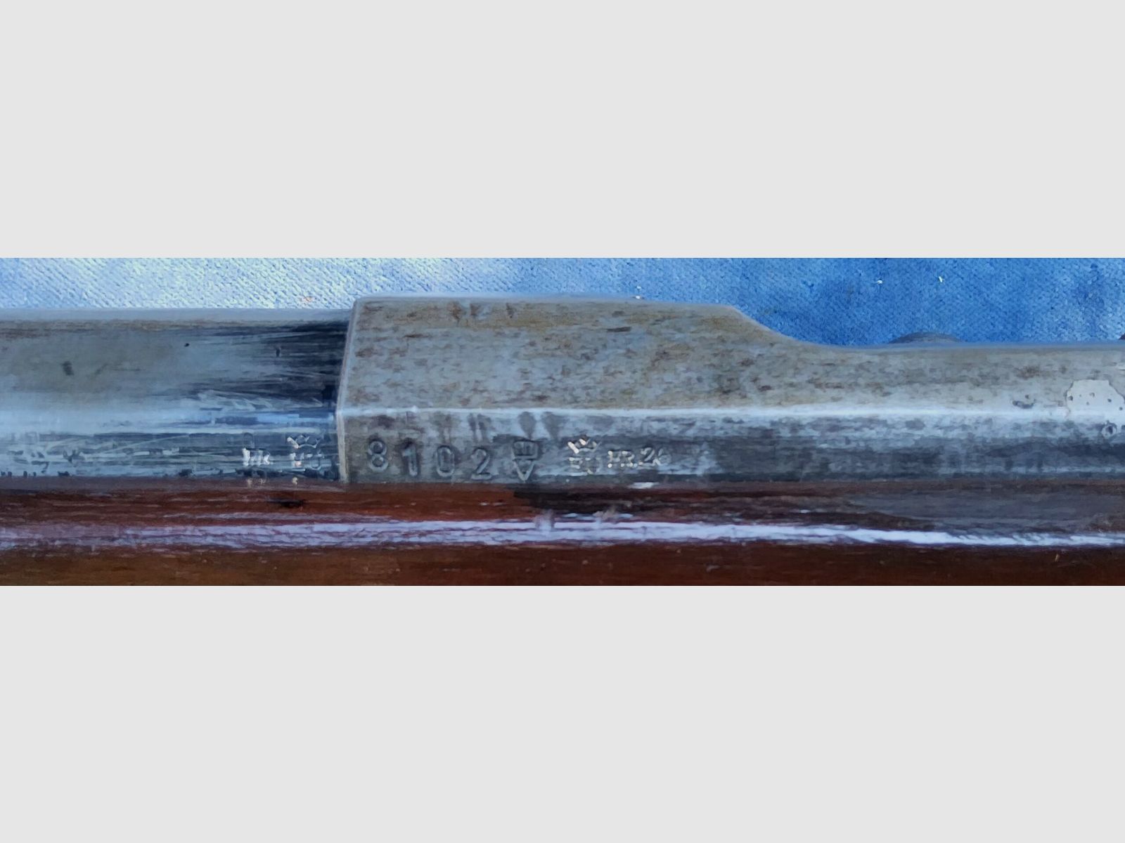 Drummen fusil de tir cal. 12 (neutralisé), image 13 sur 13