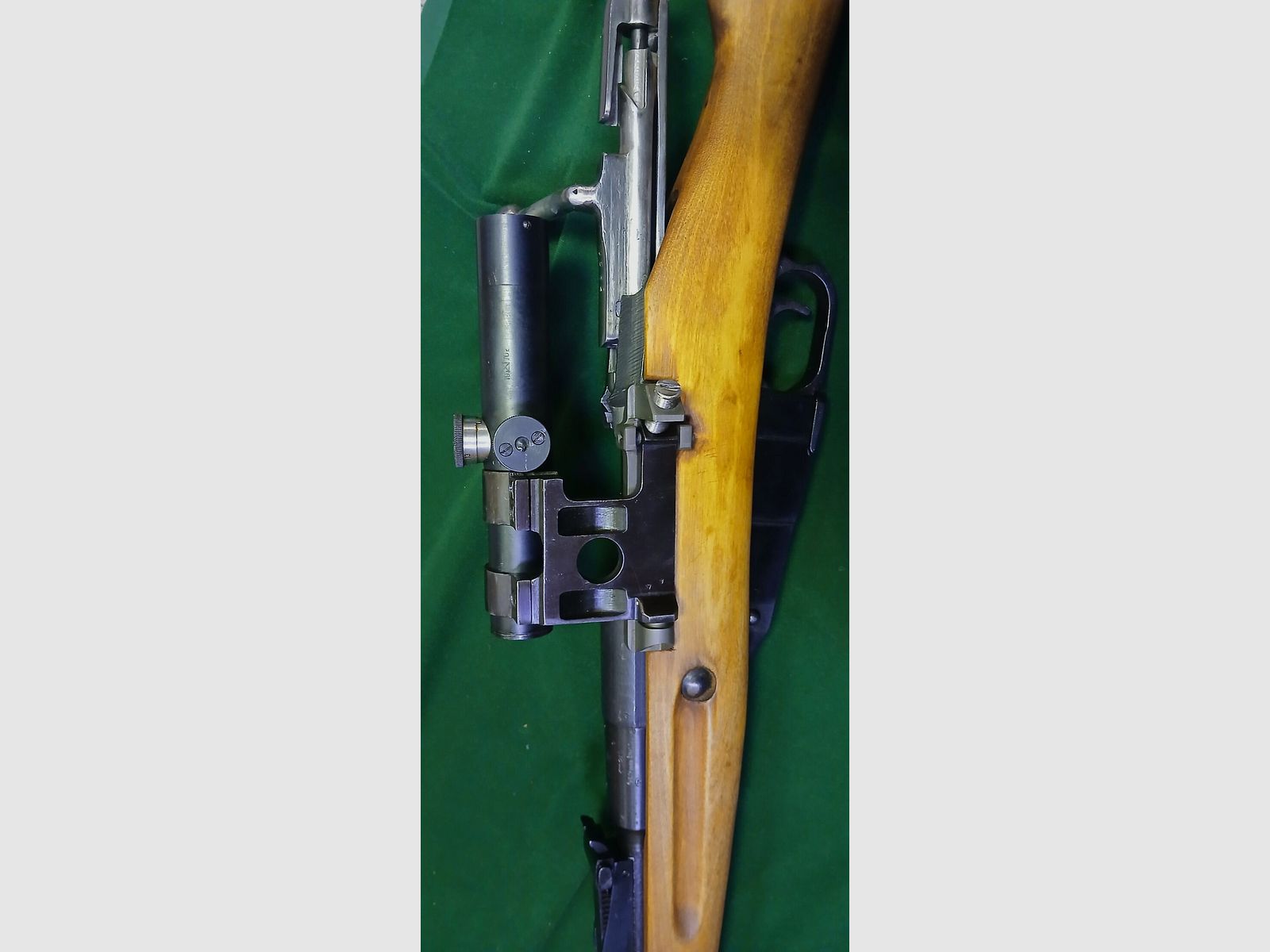 Mosin Nagant M 91/30 ?