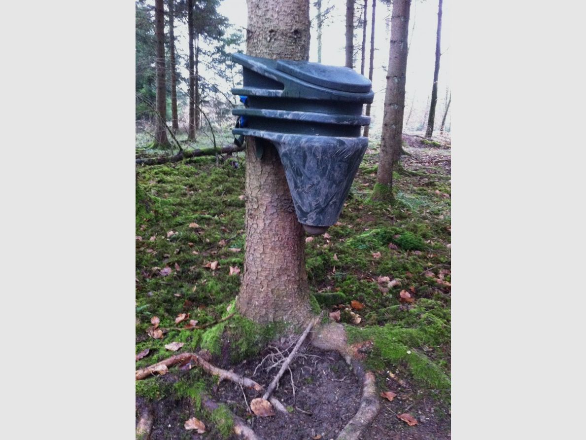 Kirrung, Bild 2 von 4