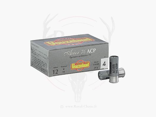 10 Patronen STAHL 70 ACP Kal.12/70 28G BJ Vouzelaud