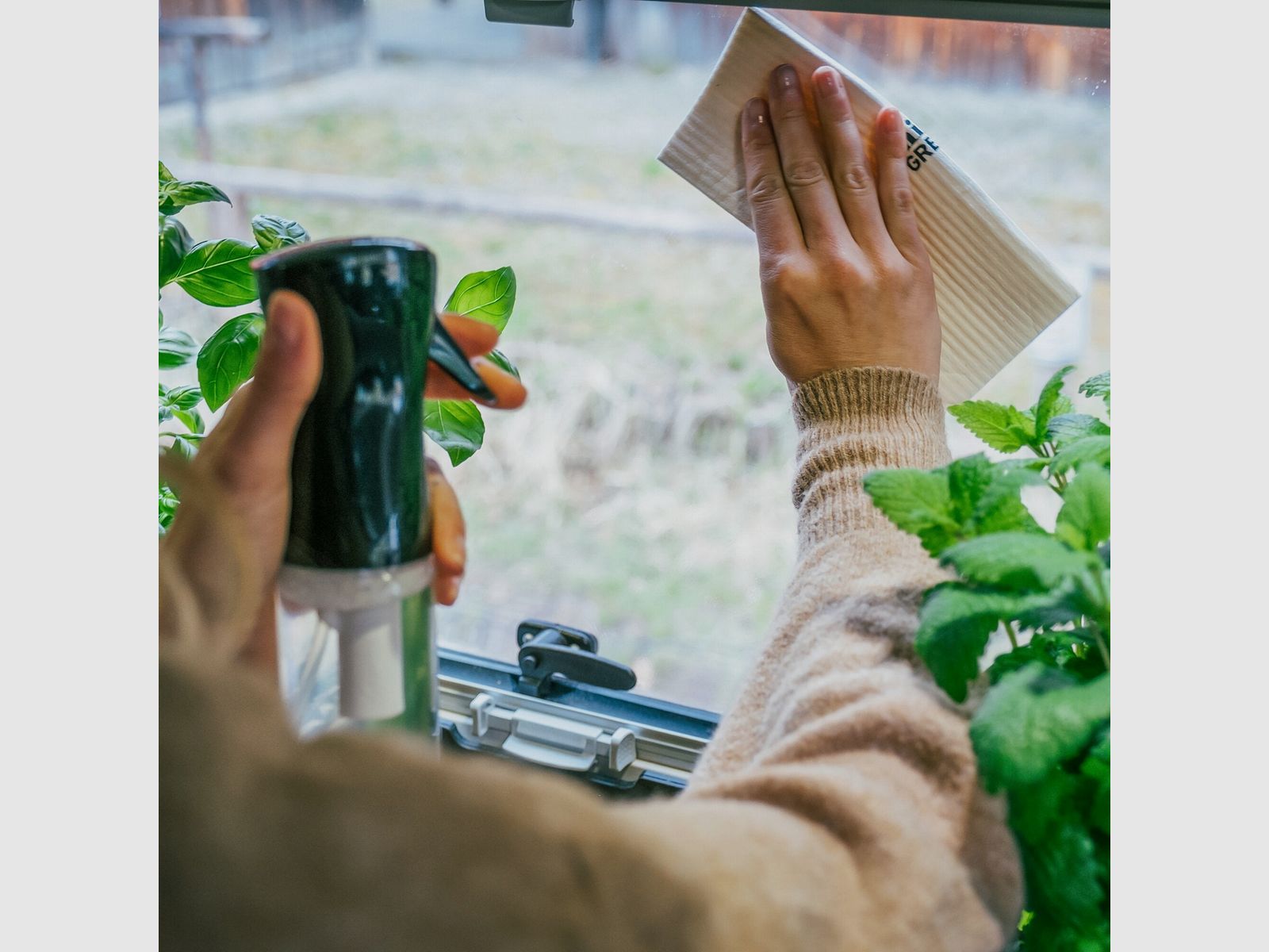 Panni Spugna Vegani Eco.Panno.Spugna., immagine 5 di 7