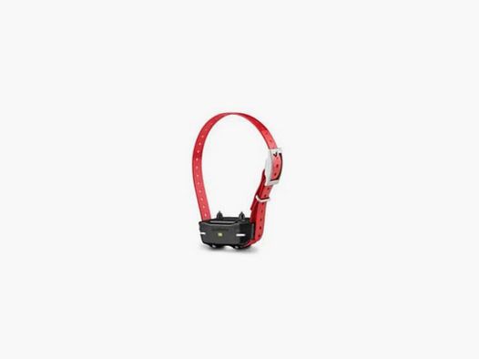 Collare addestramento GPS Garmin PRO 550