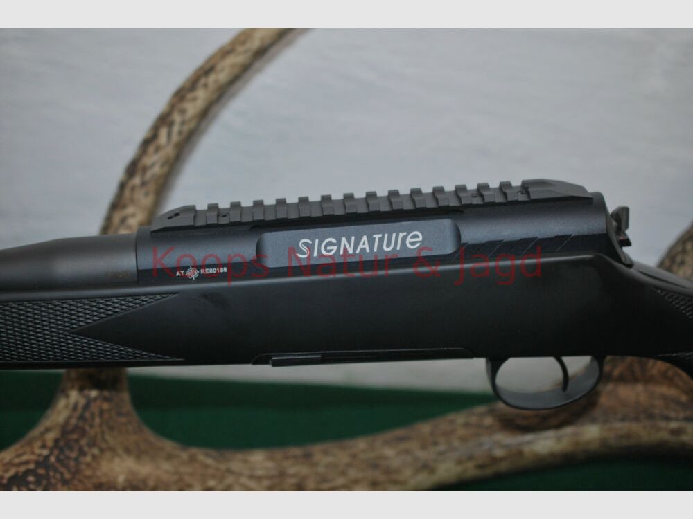 Rössler Signature Allround