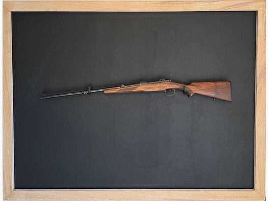 Gute Gebrauchsbüchse: CZ Kal. 30-06