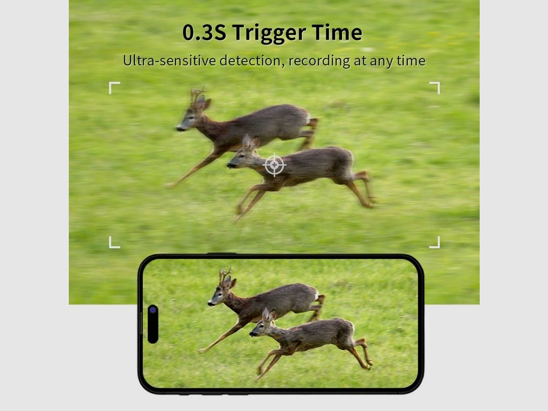 WildCast S8 Full HD LIVE trail camera, image 6 of 8