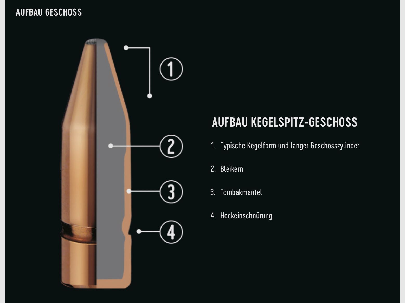 RWS 2116812 .243 Win. Pointe ogivale 6,2g 96grs. 20 pièces.