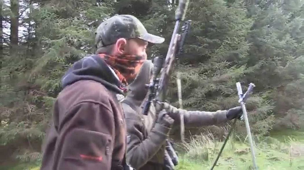 Roebuck hunting in Scotland - part 1