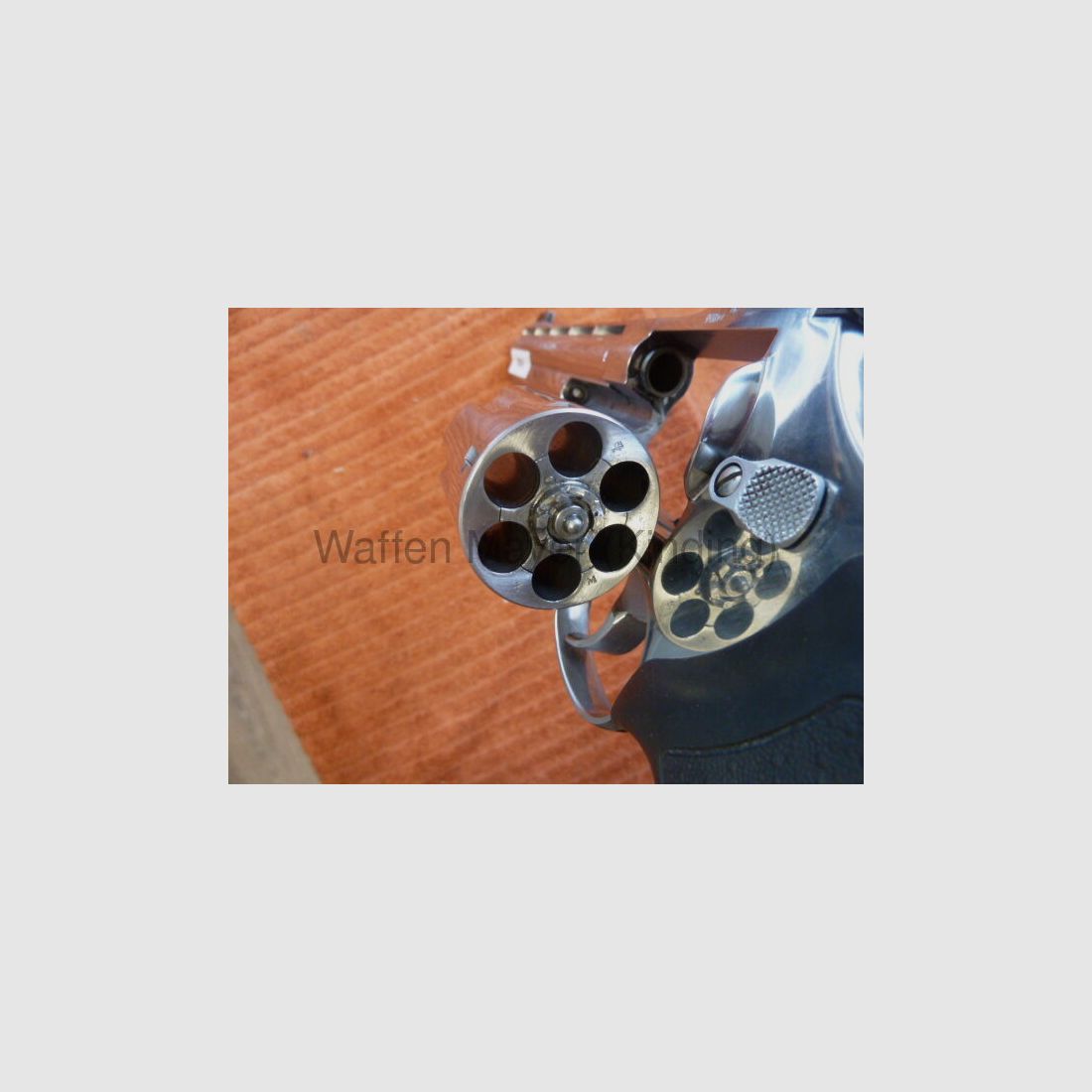 Taurus Euro-Champion