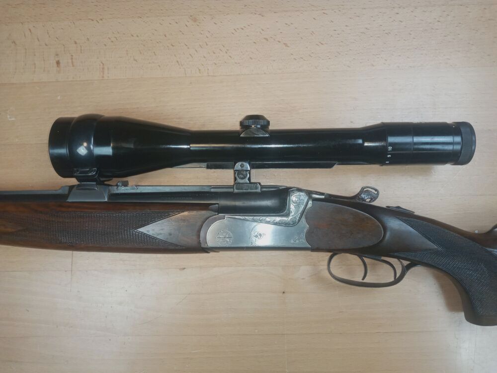 Zarnardini, Italien Princess