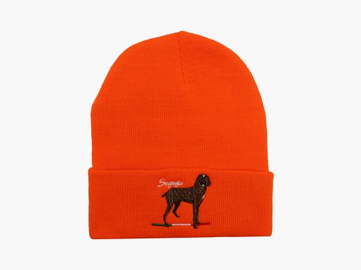 Oranje Hoed met Segugio Maremmano Print