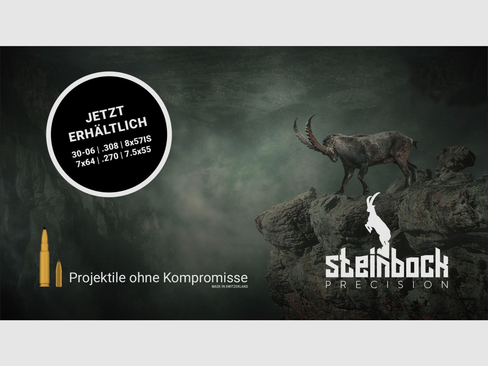 Steinbock Precision Patronen .270 Win. 130gr/8.4g, Bild 2 von 2