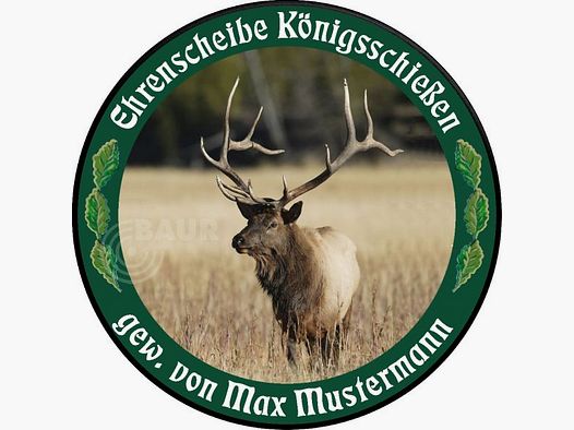 Schützenscheibe ECO-LINE Motiv 206