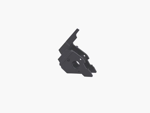 SIG SAUER P210 slotkast